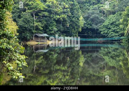 Wunderschöne Natur von Borneo Regenwald Hängebrücke über den See und eine Holzhütte Sandakan Malaysia Stockfoto