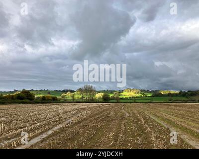 Sturmwolken über dem wasserdurchfluteten Feld von Maisstoppeln mit Sonnenlicht auf einem Hügel im Hintergrund, East Chinnock, Somerset, England Stockfoto