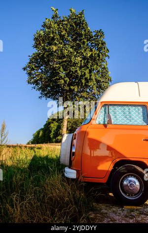 Ein Orange-weisser VW Bus Bulli steht auf einem Schotterparkplatz an einem Sommermorgen, Baden Württemberg, Deutschland. Ein Bulli steht in der Landschaft *** ein orange-weißer VW-Bus steht an einem Sommermorgen auf einem Schotterparkplatz, Baden-Württemberg, Deutschland Ein Van steht in der Landschaft Stockfoto