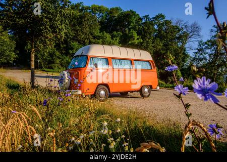 Ein Orange-weisser VW Bus Bulli steht auf einem Schotterparkplatz an einem Sommermorgen, Baden Württemberg, Deutschland. Ein Bulli steht in der Landschaft *** ein orange-weißer VW-Bus steht an einem Sommermorgen auf einem Schotterparkplatz, Baden-Württemberg, Deutschland Ein Van steht in der Landschaft Stockfoto