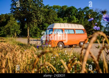 Ein Orange-weisser VW Bus Bulli steht auf einem Schotterparkplatz an einem Sommermorgen, Baden Württemberg, Deutschland. Ein Bulli steht in der Landschaft *** ein orange-weißer VW-Bus steht an einem Sommermorgen auf einem Schotterparkplatz, Baden-Württemberg, Deutschland Ein Van steht in der Landschaft Stockfoto