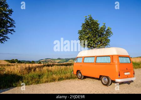 Ein Orange-weisser VW Bus Bulli steht auf einem Schotterparkplatz an einem Sommermorgen, Baden Württemberg, Deutschland. Ein Bulli steht in der Landschaft *** ein orange-weißer VW-Bus steht an einem Sommermorgen auf einem Schotterparkplatz, Baden-Württemberg, Deutschland Ein Van steht in der Landschaft Stockfoto