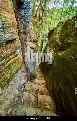Die robuste Steintreppe im Mossy Forest Cantwell Cliffs Eye Level View Stockfoto