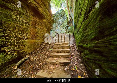Schroffe Steinstufen in Mossy Gorge Hocking Hills Eye Perspektive Stockfoto