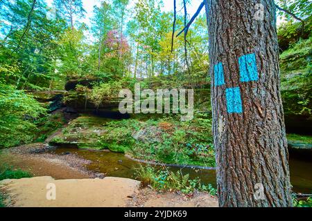 Wegmarkierungen auf dem Old Mans Cave Path mit Stream in Hocking Hills Forest View Stockfoto