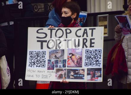 London, Großbritannien. November 2024. Demonstranten versammeln sich vor der chinesischen Botschaft, um gegen den Katzenfolterring in China zu protestieren. In China gibt es derzeit keine Gesetze über Tierquälerei, und als Folge davon hat sich Berichten zufolge ein wachsender Trend der Tierfolter ergeben, bei dem Menschen Katzen, Kätzchen und andere Tiere schrecklich foltern und töten und Videos in sozialen Medien veröffentlichen. Quelle: Vuk Valcic/Alamy Live News Stockfoto