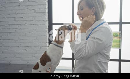 Eine reife Tierärztin interagiert spielerisch mit einem kleinen braunen und weißen Hund in einer Tierklinik und zeigt einen fröhlichen Moment zwischen einem Haustier und Stockfoto