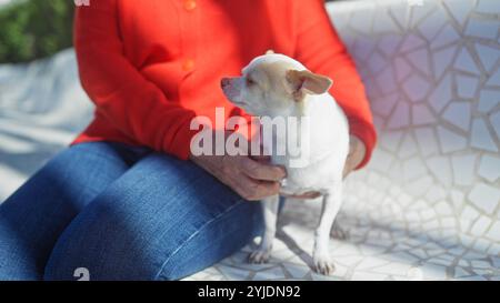 Eine reife kaukasierin in einem roten Pullover, die draußen sitzt und ihren chihuahua in einem Stadtpark hält. Stockfoto