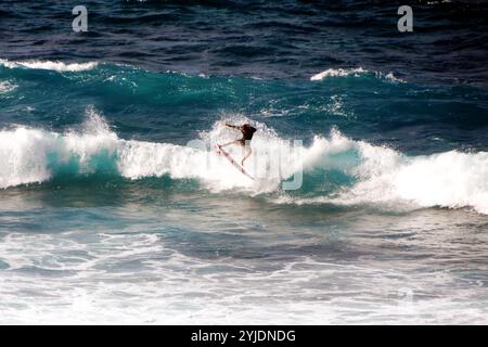 Surfer auf einer Welle in Hookipa Beach, Maui, Hawaii Stockfoto