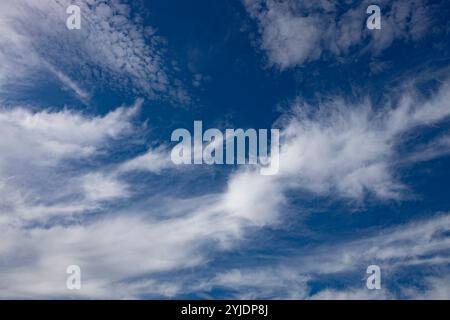 Verschiedene Wolkenphasen mit Kanon R und Kanon rf 35mm 1,8 stm Makro auf der Insel Kos in griechenland im Garten des Hippokratischen Instituts aufgenommen. Stockfoto