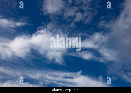 Verschiedene Wolkenphasen mit Kanon R und Kanon rf 35mm 1,8 stm Makro auf der Insel Kos in griechenland im Garten des Hippokratischen Instituts aufgenommen. Stockfoto