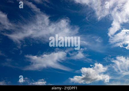 Verschiedene Wolkenphasen mit Kanon R und Kanon rf 35mm 1,8 stm Makro auf der Insel Kos in griechenland im Garten des Hippokratischen Instituts aufgenommen. Stockfoto