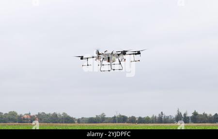 Landwirtschaftliche Drohne Spritzen Pestizide. Drohnen werden in der Landwirtschaft eingesetzt. Stockfoto