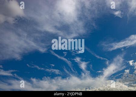 Verschiedene Wolkenphasen mit Kanon R und Kanon rf 35mm 1,8 stm Makro auf der Insel Kos in griechenland im Garten des Hippokratischen Instituts aufgenommen. Stockfoto