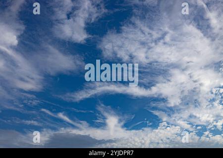 Verschiedene Wolkenphasen mit Kanon R und Kanon rf 35mm 1,8 stm Makro auf der Insel Kos in griechenland im Garten des Hippokratischen Instituts aufgenommen. Stockfoto