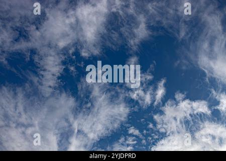 Verschiedene Wolkenphasen mit Kanon R und Kanon rf 35mm 1,8 stm Makro auf der Insel Kos in griechenland im Garten des Hippokratischen Instituts aufgenommen. Stockfoto