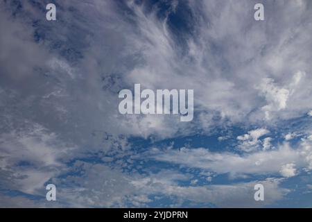 Verschiedene Wolkenphasen mit Kanon R und Kanon rf 35mm 1,8 stm Makro auf der Insel Kos in griechenland im Garten des Hippokratischen Instituts aufgenommen. Stockfoto