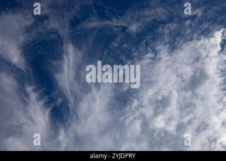 Verschiedene Wolkenphasen mit Kanon R und Kanon rf 35mm 1,8 stm Makro auf der Insel Kos in griechenland im Garten des Hippokratischen Instituts aufgenommen. Stockfoto