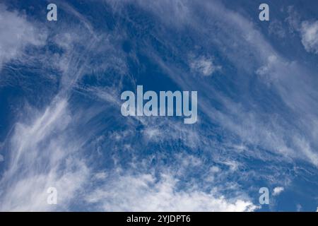 Verschiedene Wolkenphasen mit Kanon R und Kanon rf 35mm 1,8 stm Makro auf der Insel Kos in griechenland im Garten des Hippokratischen Instituts aufgenommen. Stockfoto