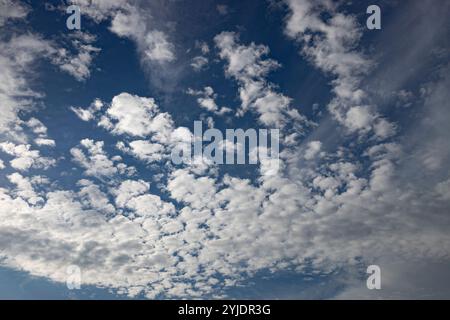 Verschiedene Wolkenphasen mit Kanon R und Kanon rf 35mm 1,8 stm Makro auf der Insel Kos in griechenland im Garten des Hippokratischen Instituts aufgenommen. Stockfoto