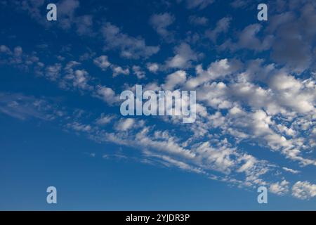 Verschiedene Wolkenphasen mit Kanon R und Kanon rf 35mm 1,8 stm Makro auf der Insel Kos in griechenland im Garten des Hippokratischen Instituts aufgenommen. Stockfoto