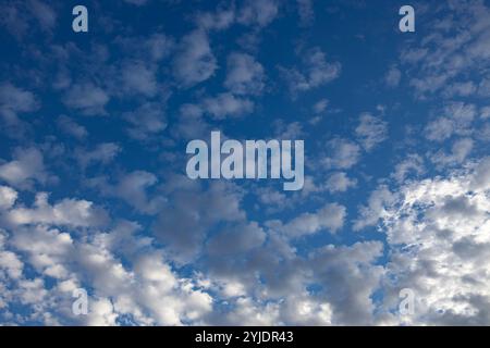 Verschiedene Wolkenphasen mit Kanon R und Kanon rf 35mm 1,8 stm Makro auf der Insel Kos in griechenland im Garten des Hippokratischen Instituts aufgenommen. Stockfoto