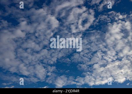 Verschiedene Wolkenphasen mit Kanon R und Kanon rf 35mm 1,8 stm Makro auf der Insel Kos in griechenland im Garten des Hippokratischen Instituts aufgenommen. Stockfoto