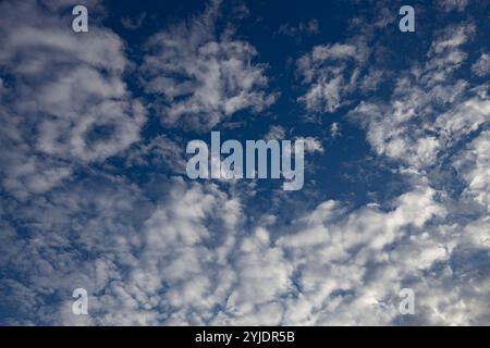 Verschiedene Wolkenphasen mit Kanon R und Kanon rf 35mm 1,8 stm Makro auf der Insel Kos in griechenland im Garten des Hippokratischen Instituts aufgenommen. Stockfoto