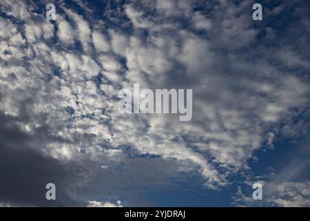 Verschiedene Wolkenphasen mit Kanon R und Kanon rf 35mm 1,8 stm Makro auf der Insel Kos in griechenland im Garten des Hippokratischen Instituts aufgenommen. Stockfoto