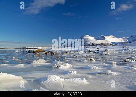 Eisfläche bei Leknes auf den Lofoten in Norwegen im Winter. Eisfläche bei Leknes auf den Lofoten in Norwegen im Winter. Stockfoto