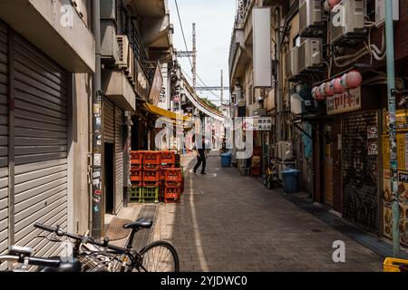 Tokio, Japan - 6. August 2024: Ameyoko, ein lebhafter Straßenmarkt in Ueno, Tokio, bietet geschäftige Geschäfte, Imbissstände und lokale Waren. Aufnahme der liv Stockfoto