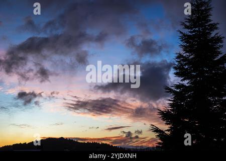 Wunderschöner Sonnenaufgang mit buntem Himmel mit Wolken und Kiefern an der Seite Stockfoto