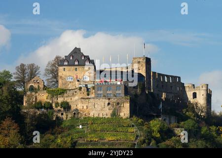 Schloss Rheinfels, St. Goar, Rheinland-Pfalz, Burg Rheinfels, Rheinland-Pfalz, Stockfoto