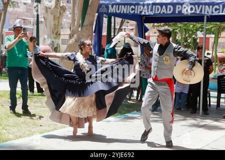 Hundekostümwettbewerb in Moquegua, Peru, am 9. November 2024 mit umweltfreundlichen Kostümen. Ein paar Tänzer während der Pause der Veranstaltung. Stockfoto