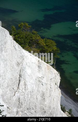 Mons Klint ist die höchste Klippe Dänemarks. Die Kreidefelse befindet sich im Osten der Ostseeinsel Mo., Mons Klint ist die höchste Steilk Stockfoto