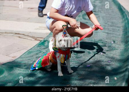 Hundekostümwettbewerb in Moquegua, Peru, am 9. November 2024 mit umweltfreundlichen Kostümen. Die Veranstaltung präsentierte kreative und nachhaltige Designs, pro Stockfoto