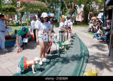 Hundekostümwettbewerb in Moquegua, Peru, am 9. November 2024 mit umweltfreundlichen Kostümen. Die Veranstaltung präsentierte kreative und nachhaltige Designs, pro Stockfoto