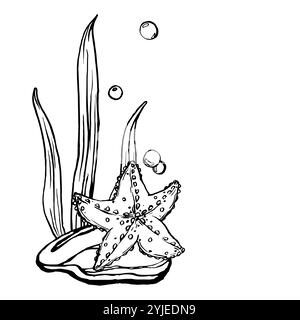Seesterne-Skizzenvektor. Eine Schwarz-weiß-Illustration Unterwassertiere. Meeresboden-Landschaft. Einfarbiger Outline Marinestern mit schwarzer Tinte Stock Vektor