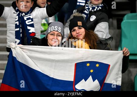 Ljubljana, Slowenien. November 2024. Ljubljana, Slowenien, 11. November 2024: Slowenische Fußballfans während der UEFA Nations League, Liga B Gruppe B3, Spiel zwischen Slowenien und Norwegen im Stadion Stozice, Ljubljana, Slowenien. (Igor Kupljenik/SPP) Credit: SPP Sport Press Photo. /Alamy Live News Stockfoto