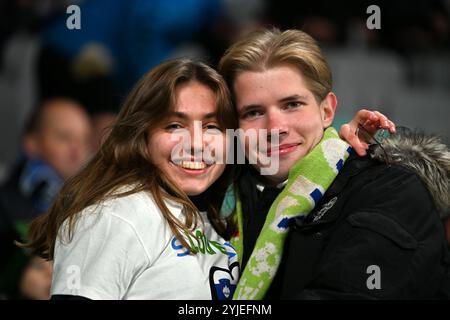 Ljubljana, Slowenien. November 2024. Ljubljana, Slowenien, 11. November 2024: Slowenische Fußballfans während der UEFA Nations League, Liga B Gruppe B3, Spiel zwischen Slowenien und Norwegen im Stadion Stozice, Ljubljana, Slowenien. (Igor Kupljenik/SPP) Credit: SPP Sport Press Photo. /Alamy Live News Stockfoto