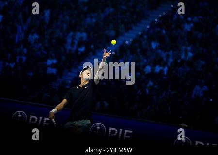 Torino, Italien. November 2024. Italiens Jannik SinnerÊserves gegen Russlands Daniil Medwedew während des Einzel-Tennisspiels der ATP World Tour Finals in der Inalpi Arena in Turin, Italien - Sport - Donnerstag, 14. November 2024. (Foto: Marco Alpozzi/Lapresse) Credit: LaPresse/Alamy Live News Stockfoto