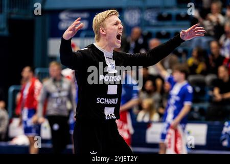 Gummersbach, Deutschland. November 2024. Bertram Obling (VfL Gummersbach, 16) jubelt DHB-Pokal 2024/25 Achtelfinale: VfL Gummersbach - GWD Minden; Gummersbach, Schwalbe Arena am 14.11.2024 Credit: dpa/Alamy Live News Stockfoto