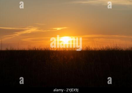 Ein wunderschöner Sonnenaufgang über dem Liuwa Plain National Park, Sambia Stockfoto