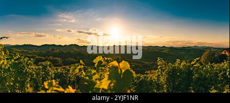 Weinberge entlang der Südsteirischen Weinstraße im Herbst, Österreich Europa. Hochauflösendes Panorama, hintergrundbeleuchtete Silhouette im Querformat. Stockfoto