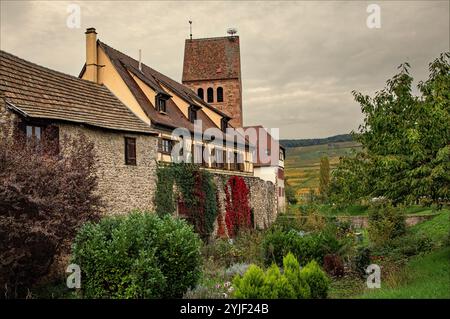 Kientzheim, Oberrhein, Elsass, Frankreich - 18. Oktober 2024 - die mittelalterlichen Mauern der Stadt Kientzheim mit den Weinbergen im Hintergrund Stockfoto