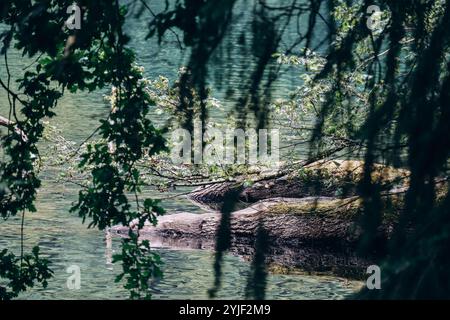 Landschaften rund um den Gour de Tazenat, einen vulkanischen See in der Auvergne, Frankreich. Stockfoto