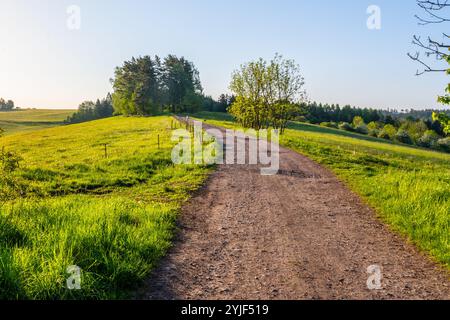 Eine friedliche Landstraße schlängelt sich durch üppige grüne Felder und Bäume und schafft eine ruhige Atmosphäre. Der klare blaue Himmel trägt zur natürlichen Schönheit dieser ruhigen Landschaft bei. Stockfoto