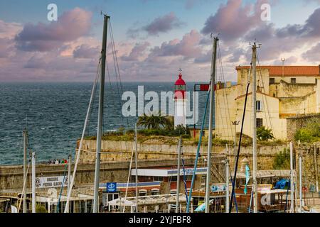 AJACCIO, KORSIKA, FRANKREICH - 8. Oktober 2024: Ajaccio, Geburtsort von Napoleon Bonaparte, bietet eine charmante Mischung aus historischer Architektur und pulsierendem Por Stockfoto