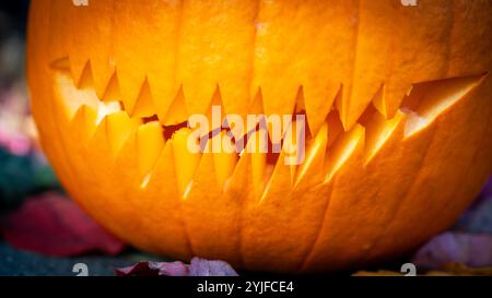 Ein lebendig geschnitzter Halloween-Kürbis mit einem bedrohlichen Haifischzahn-Design, perfekt für Herbstdekor, Halloween-Festlichkeiten und gruselige Feiern. Stockfoto