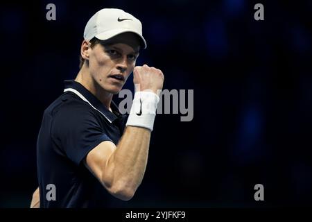 Turin, Italien. 14. November 2024. Jannik Sinner aus Italien feiert während seines Runden-robin-Einzelspiels gegen Daniil Medwedew aus Russland am fünften Tag des Nitto ATP Finals. Jannik Sinner gewann das Spiel mit 6:3, 6:4. Quelle: Nicolò Campo/Alamy Live News Stockfoto